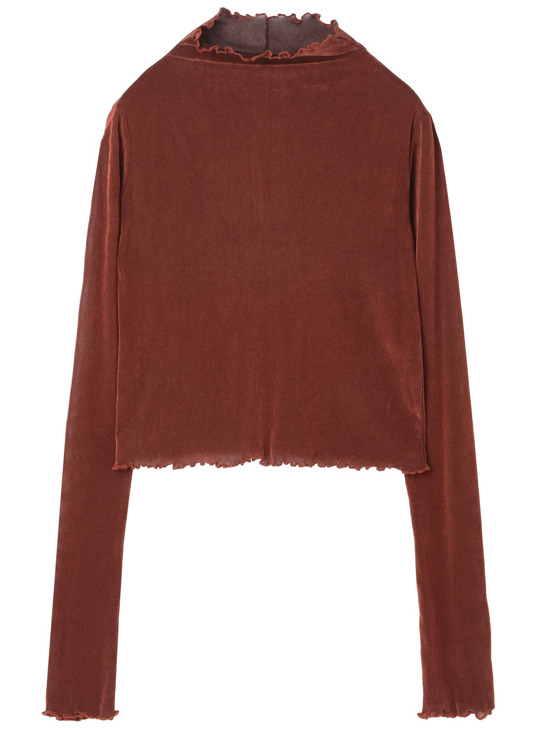 Tulle Flocked Sheer Top