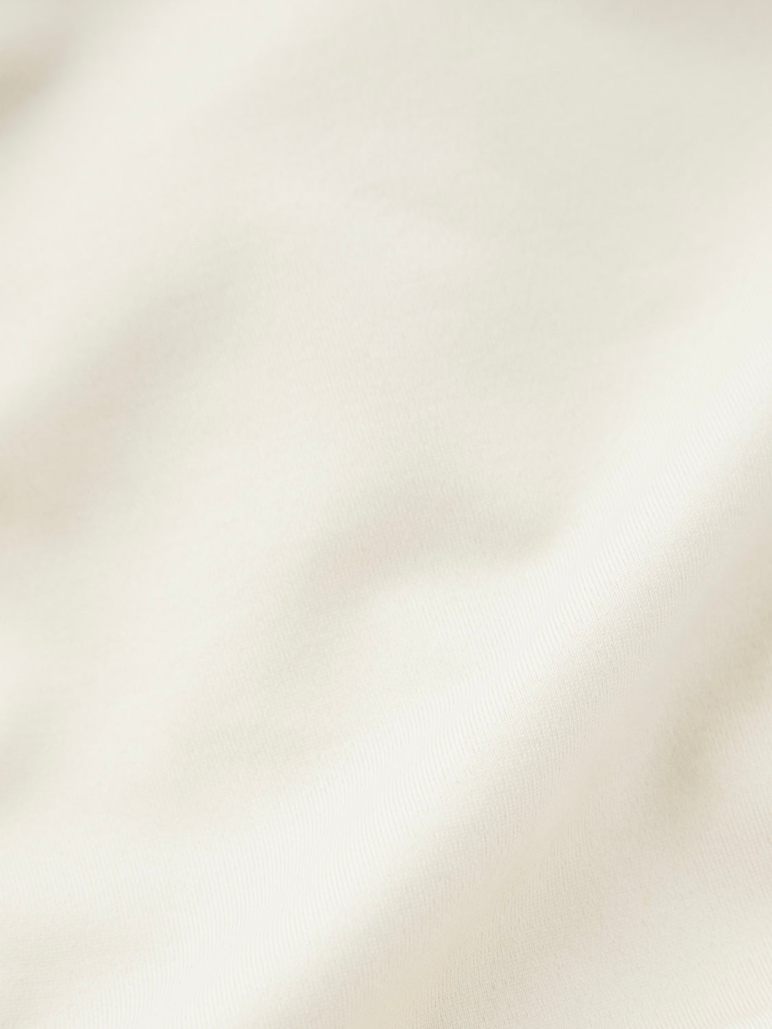 バックディティール Point ワンピース