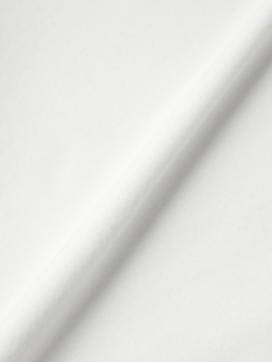 カーヴィー Cut ロングスリーブ