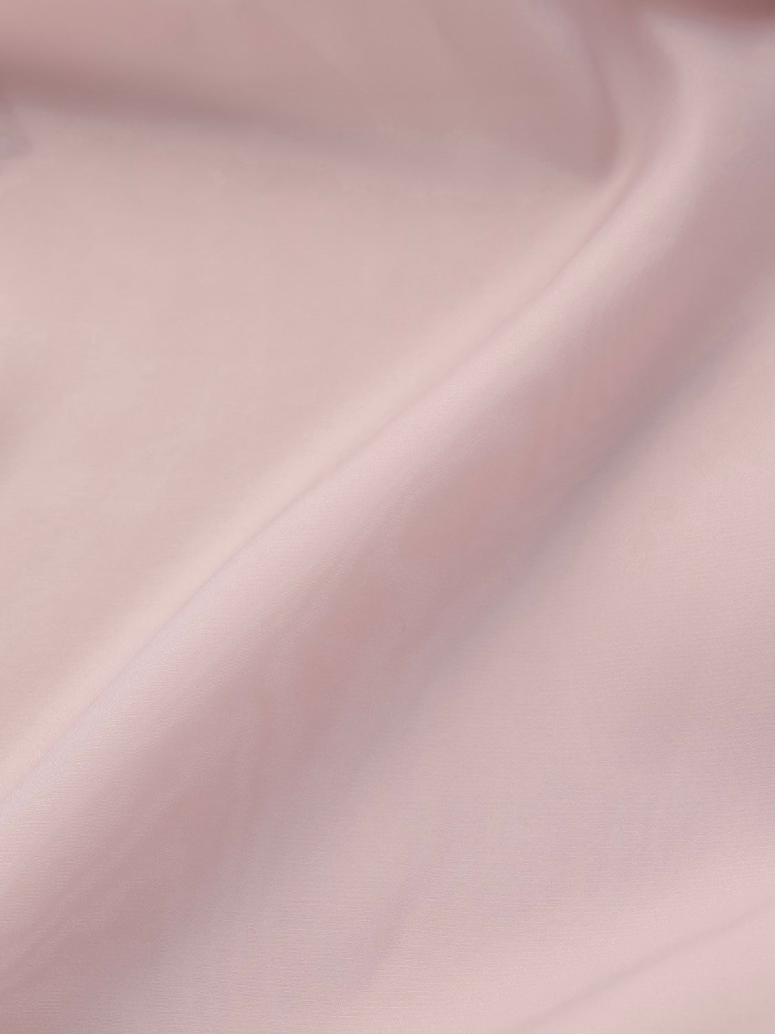 Sheer カーゴパンツ