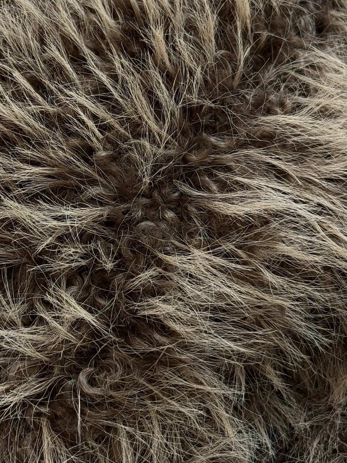 Suede ボンディング Fur コート