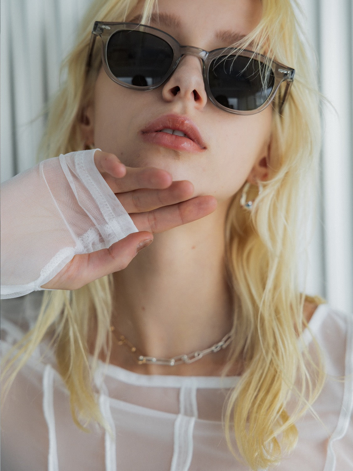 シームデザイン Sheer トップス