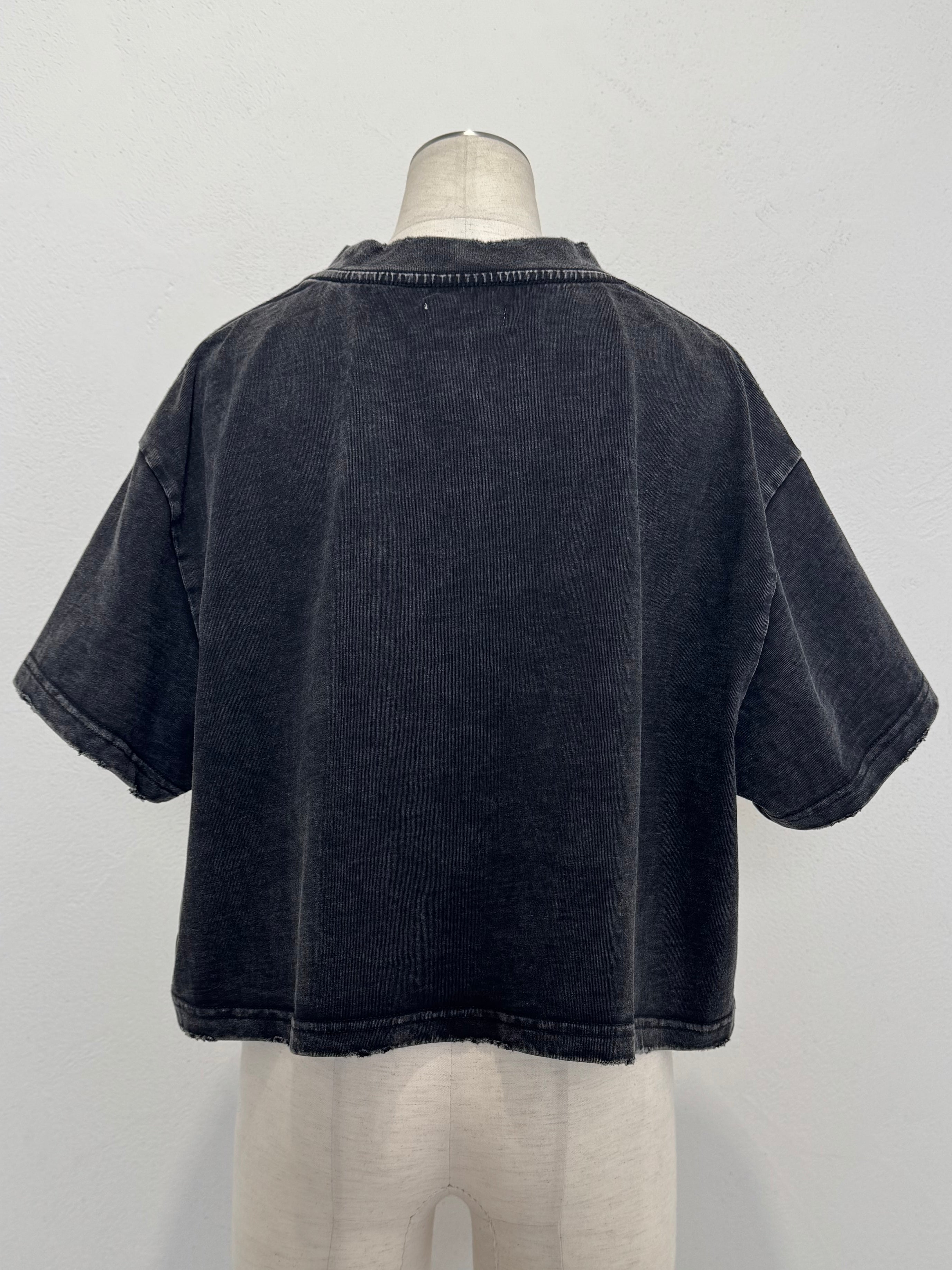 Short ピグメント ピアス Over TEE
