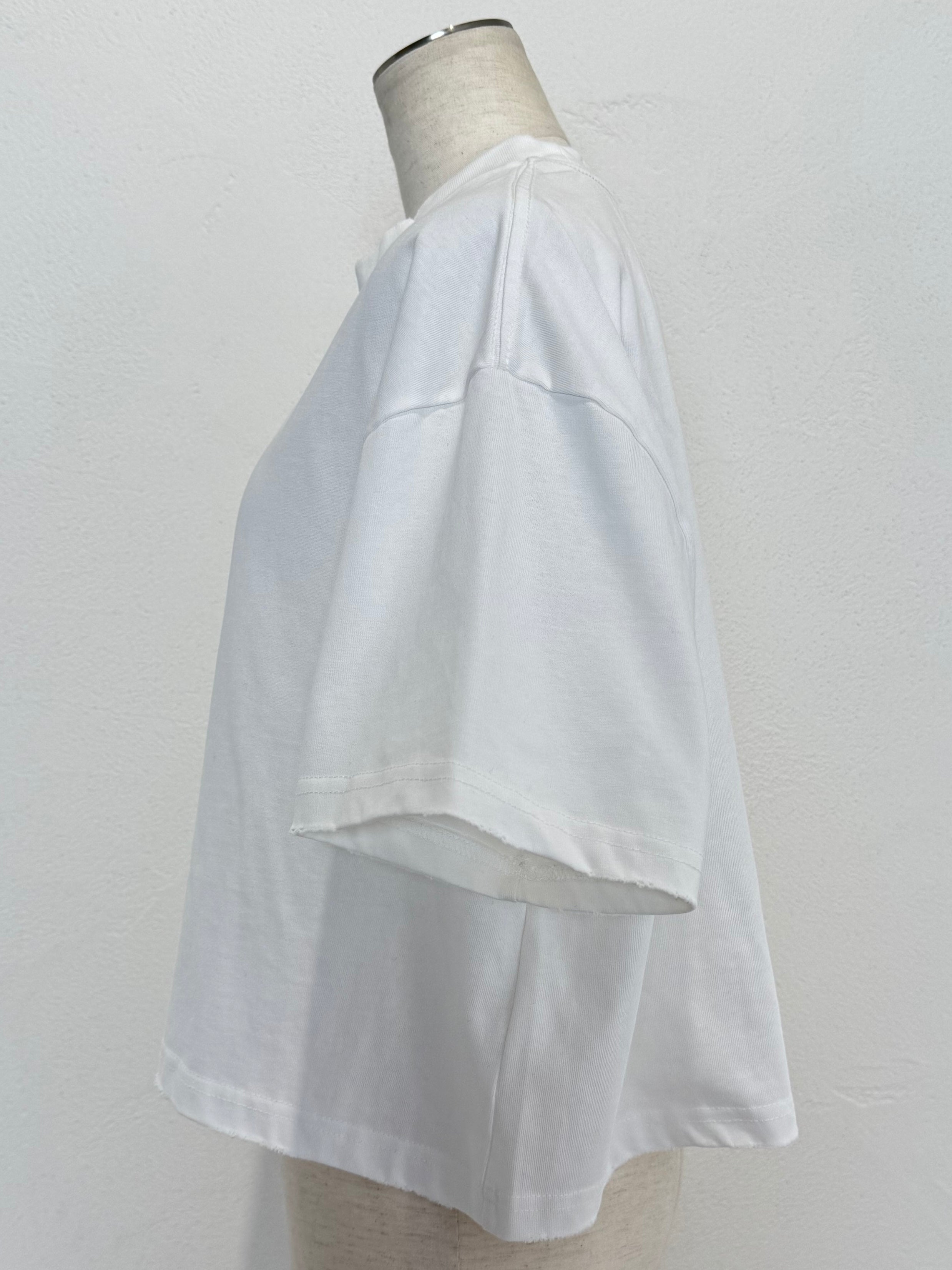 Short ピグメント ピアス Over TEE