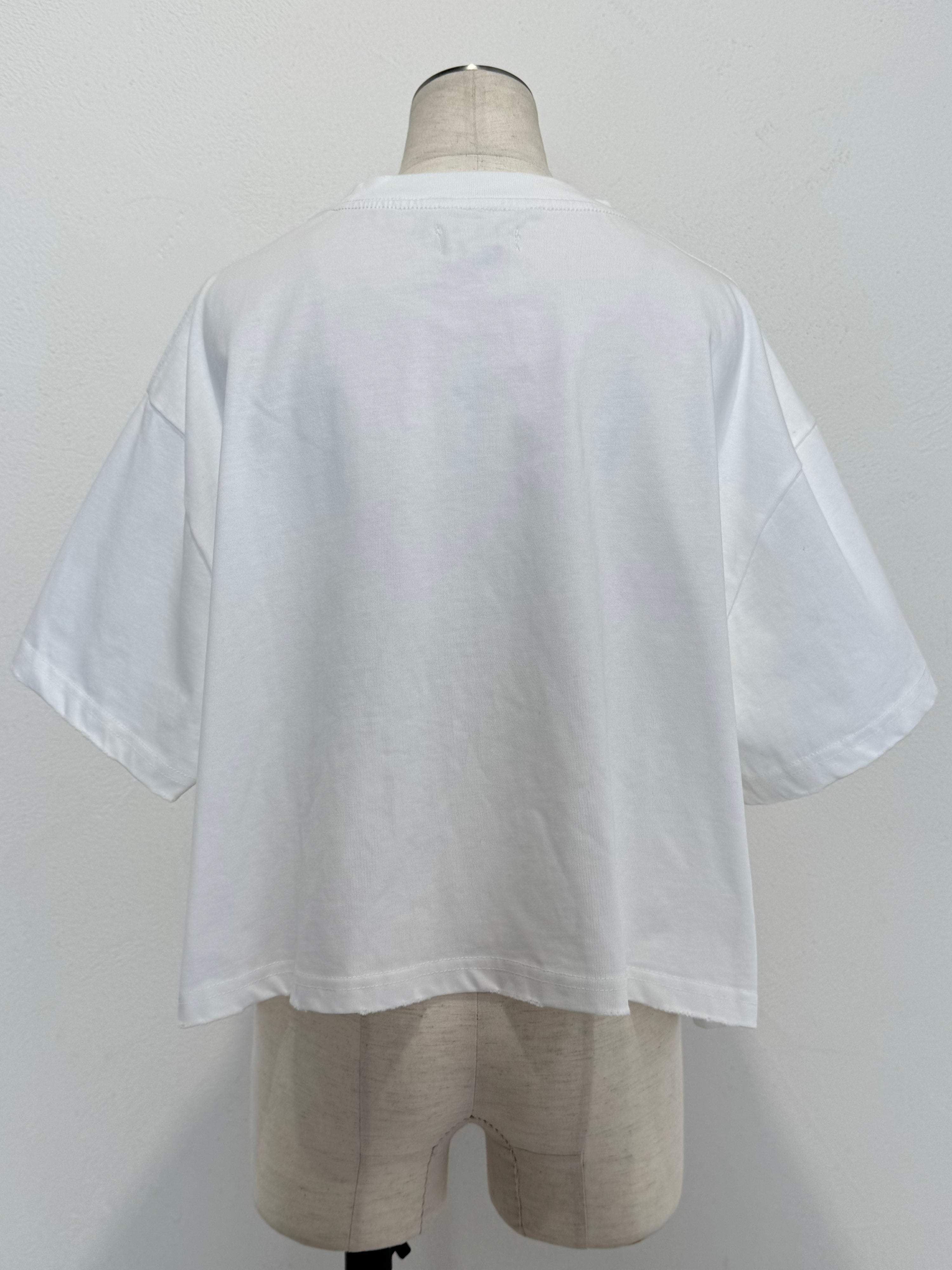 Short ピグメント ピアス Over TEE