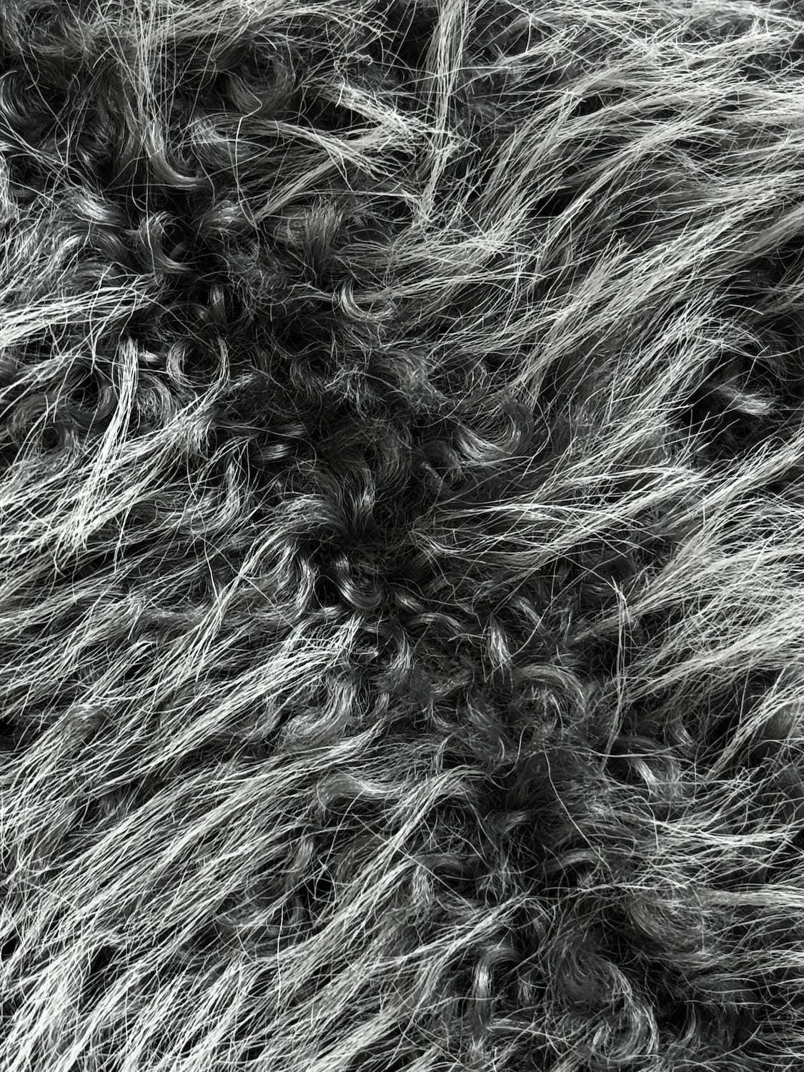 Suede ボンディング Fur コート